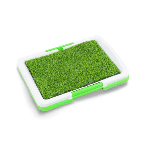 Proyecto nuevo - 2026-03-25T164721.880